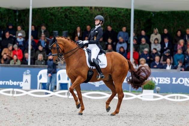 BALVE - LONGINES Balve Optimum 2026, BALVE - LONGINES Balve Optimum 2026 ROTHENBERG Semmieke (GER), Farrington 4 Deutsche Meisterschaften Dressur Grand Prix Kür 2026 - Grand Prix Kür Freestyle LONGINES GROSSER OPTIMUM PREIS 2026 präsentiert von der MEGGLE Group GmbH Dressurprüfung Kl.S