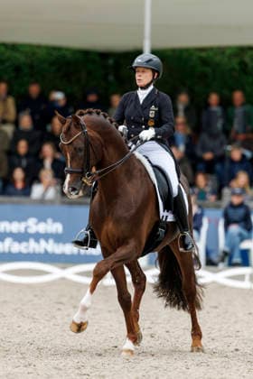 BALVE - LONGINES Balve Optimum 2026, BALVE - LONGINES Balve Optimum 2026 WERTH Isabell (GER), Viva Gold OLD Deutsche Meisterschaften Dressur Grand Prix Kür 2026 - Grand Prix Kür Freestyle LONGINES GROSSER OPTIMUM PREIS 2026 präsentiert von der MEGGLE Group GmbH Dressurprüfung Kl.S