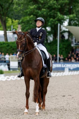 BALVE - LONGINES Balve Optimum 2026, BALVE - LONGINES Balve Optimum 2026 WERTH Isabell (GER), Viva Gold OLD Deutsche Meisterschaften Dressur Grand Prix Kür 2026 - Grand Prix Kür Freestyle LONGINES GROSSER OPTIMUM PREIS 2026 präsentiert von der MEGGLE Group GmbH Dressurprüfung Kl.S