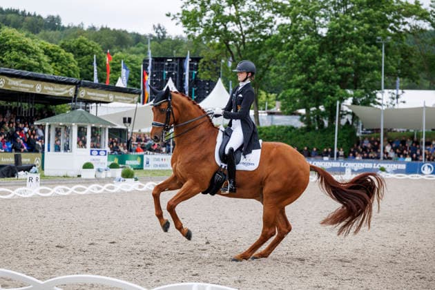 BALVE - LONGINES Balve Optimum 2026, BALVE - LONGINES Balve Optimum 2026 ROTHENBERG Semmieke (GER), Farrington 4 Deutsche Meisterschaften Dressur Grand Prix Kür 2026 - Grand Prix Kür Freestyle LONGINES GROSSER OPTIMUM PREIS 2026 präsentiert von der MEGGLE Group GmbH Dressurprüfung Kl.S