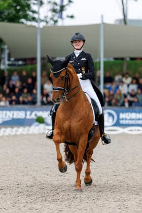 BALVE - LONGINES Balve Optimum 2026, BALVE - LONGINES Balve Optimum 2026 ROTHENBERG Semmieke (GER), Farrington 4 Deutsche Meisterschaften Dressur Grand Prix Kür 2026 - Grand Prix Kür Freestyle LONGINES GROSSER OPTIMUM PREIS 2026 präsentiert von der MEGGLE Group GmbH Dressurprüfung Kl.S