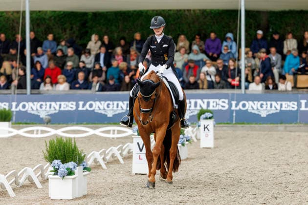BALVE - LONGINES Balve Optimum 2026, BALVE - LONGINES Balve Optimum 2026 ROTHENBERG Semmieke (GER), Farrington 4 Deutsche Meisterschaften Dressur Grand Prix Kür 2026 - Grand Prix Kür Freestyle LONGINES GROSSER OPTIMUM PREIS 2026 präsentiert von der MEGGLE Group GmbH Dressurprüfung Kl.S