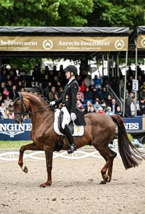 Balve Optimum am Sonntag 7. Juni ** NUR FÜR REDAKTIONELLE ZWECKE ** EDITORIAL USE ONLY **<p>Moritz Treffinger auf Fiderdance bei den Deutschen Meisterschaften Dressur Grand Prix Kür 2026 am Sonntag, 7. Juni 2026 in Balve Optimum in Balve. . Copyright: SvenjaxHanusch