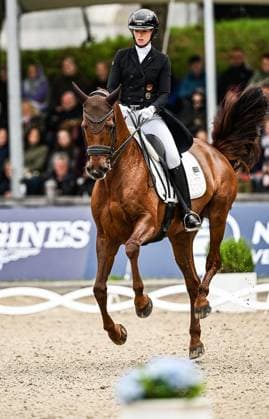 Balve Optimum am Sonntag 7. Juni ** NUR FÜR REDAKTIONELLE ZWECKE ** EDITORIAL USE ONLY **<p>Fabienne Müller-Lütkemeier auf Valencia bei den Deutschen Meisterschaften Dressur Grand Prix Kür 2026 am Sonntag, 7. Juni 2026 in Balve Optimum in Balve. . Valencia Copyright: SvenjaxHanusch