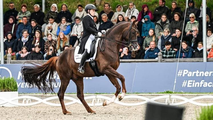Balve Optimum am Sonntag 7. Juni ** NUR FÜR REDAKTIONELLE ZWECKE ** EDITORIAL USE ONLY **<p>Isabell Werth auf Viva Gold bei den Deutschen Meisterschaften Dressur Grand Prix Kür 2026 am Sonntag, 7. Juni 2026 in Balve Optimum in Balve. . Copyright: SvenjaxHanusch