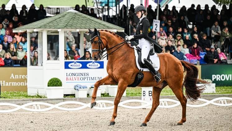 Balve Optimum am Sonntag 7. Juni ** NUR FÜR REDAKTIONELLE ZWECKE ** EDITORIAL USE ONLY **<p>Semmieke Rothenberger auf Farrington bei den Deutschen Meisterschaften Dressur Grand Prix Kür 2026 am Sonntag, 7. Juni 2026 in Balve Optimum in Balve. . Copyright: SvenjaxHanusch