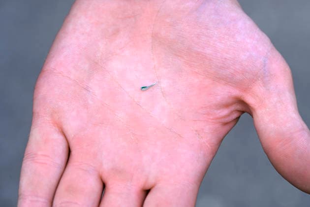 Metallsplitter auf einer Hand: Beim Sportevent Ironman Hamburg kam es auf der Radstrecke zu zahlreichen Ausfällen, weil Metallsplitter von Unbekannten auf einer Straße in Kirchwerder ausgestreut wurden, Kirchwerder, Hamburg, Deutschland Hamburg-Kirchwerder Hamburg Deutschland ** NUR FÜR REDAKTIONELLE ZWECKE ** EDITORIAL USE ONLY **