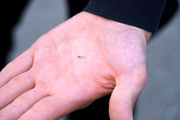 Metallsplitter auf einer Hand: Beim Sportevent Ironman Hamburg kam es auf der Radstrecke zu zahlreichen Ausfällen, weil Metallsplitter von Unbekannten auf einer Straße in Kirchwerder ausgestreut wurden, Kirchwerder, Hamburg, Deutschland Hamburg-Kirchwerder Hamburg Deutschland ** NUR FÜR REDAKTIONELLE ZWECKE ** EDITORIAL USE ONLY **