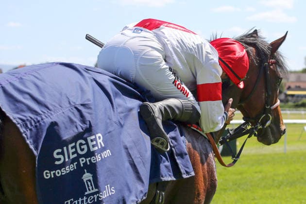 07.06.2026, Iffezheim, Baden-Wuerttemberg, GER - Alleno mit Sibylle Vogt nach dem Sieg im Grossen Preis von Tattersalls. Galopprennbahn Baden-Baden, Iffezheim. (Pferd, Jockey, Alleno, Vogt, Sieg) 260607B990IFFEZHEIM.JPG