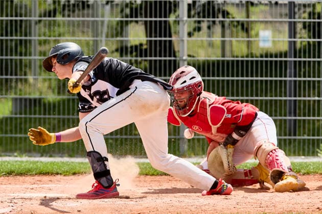 Deutsche Baseball Liga (DBL), München-Haar Disciples vs Stuttgart Reds, Haar Disciples, Stuttgart Reds, 2026-06-07 in München-Haar (Ballpark Eglfing) KRAMER Quentin (München-Haar Disciples Second Baseman Nr11-HAA11), WITT Yannick (Stuttgart Reds Catcher, Shortstop Nr6-STG6) sportworld München-Haar Ballpark Eglfing Bayern Deutschland