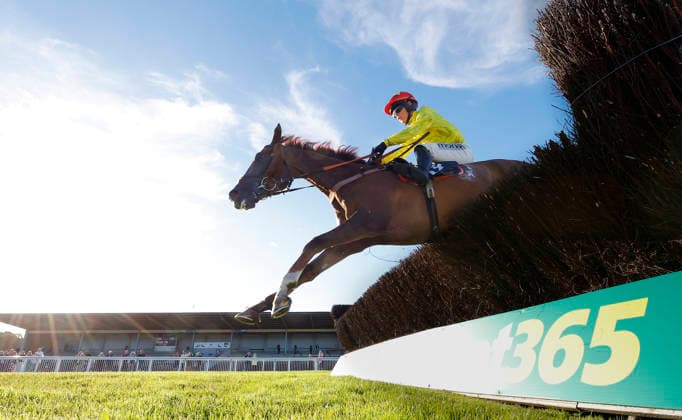 Newton Abbot Races, Newton Abbot, UK - 12 June 2026 Race winner, Rickety Bridge ridden by Freddie Gingell. Race 5 - 19:35 Newton Abbot - St. Austell Brewery Novices Limited Handicap Chase (GBB Race) (Class 3) at Newton Abbot Racecourse, Newton Abbot, Devon, England - Newton Abbot Newton Abbot Racecourse Devon England Copyright: xPhilxMingo PPAUKx PPA-280760