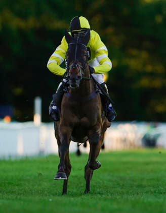 Newton Abbot Races, Newton Abbot, UK - 12 June 2026 Race winner, Park Hall ridden by Harry Skelton. Race 7 - 20:45 Newton Abbot - Racing To School Reaches 25 Years Open National Hunt Flat Race (Category 1 Elimination) (GBB Race) (Class 4) at Newton Abbot Racecourse, Newton Abbot, Devon, England - Newton Abbot Newton Abbot Racecourse Devon England Copyright: xPhilxMingo PPAUKx PPA-280820