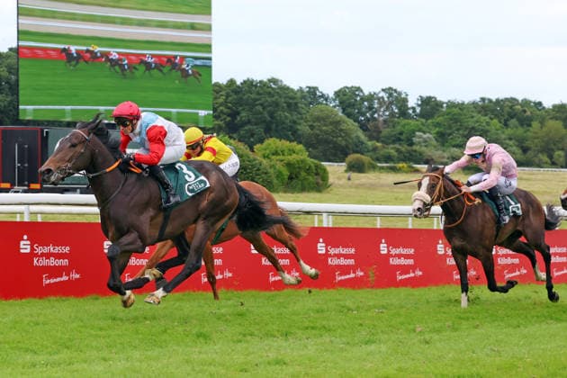 14.06.2026, Koeln, Nordrhein-Westfalen, GER - Bapp mit Rene Piechulek gewinnt. Galopprennbahn Koeln-Weidenpesch. (Pferd, Jockey, Bapp, Piechulek, Sieg, Ziel, Zielankunft) 260614S981KOELN.JPG