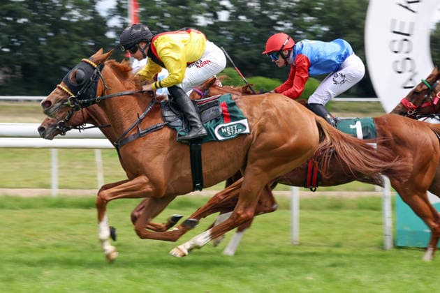 14.06.2026, Koeln, Nordrhein-Westfalen, GER - Aomanda mit Sibylle Vogt gewinnt. Galopprennbahn Koeln-Weidenpesch. (Pferd, Jockey, Aomanda, Vogt, Sieg, Ziel, Zielankunft) 260614S976KOELN.JPG