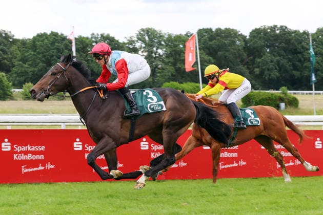 14.06.2026, Koeln, Nordrhein-Westfalen, GER - Bapp mit Rene Piechulek gewinnt. Galopprennbahn Koeln-Weidenpesch. (Pferd, Jockey, Bapp, Piechulek, Sieg, Ziel, Zielankunft) 260614S982KOELN.JPG