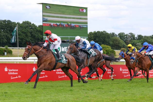 14.06.2026, Koeln, Nordrhein-Westfalen, GER - Englishman mit Enzo Crublet gewinnt das 191. Union-Rennen. Galopprennbahn Koeln-Weidenpesch. (Pferd, Jockey, Englishman, Crublet, Sieg, Ziel, Zielankunft) 260614S987KOELN.JPG
