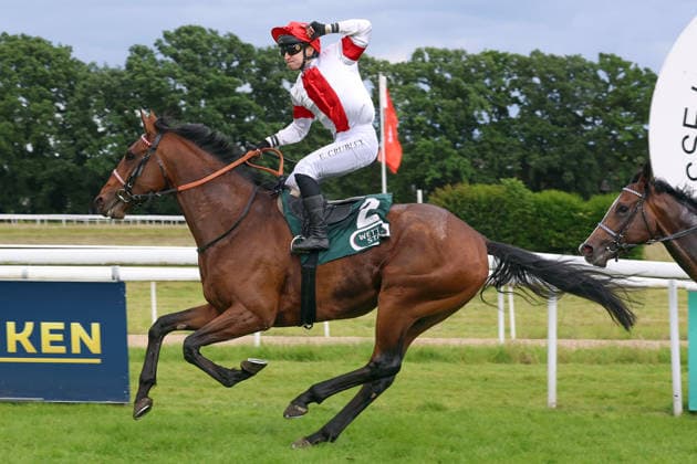 14.06.2026, Koeln, Nordrhein-Westfalen, GER - Englishman mit Enzo Crublet gewinnt das 191. Union-Rennen. Galopprennbahn Koeln-Weidenpesch. (Pferd, Jockey, Englishman, Crublet, Sieg, Ziel, Zielankunft) 260614S989KOELN.JPG