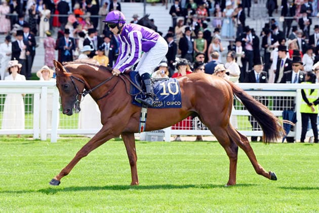 16.06.2026, Ascot, Windsor, GBR - Great Barrier Reef with Wayne Lordan. Ascot racecourse. (Pferd, Jockey, Great Barrier Reef, Lordan, Aufgalopp) 260616C904ROYAL_ASCOT.JPG