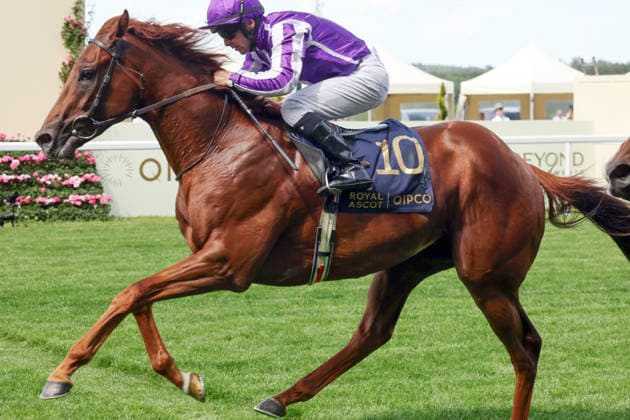 16.06.2026, Ascot, Windsor, GBR - Great Barrier Reef with Wayne Lordan up wins the Coventry Stakes. Ascot racecourse. (Pferd, Jockey, Great Barrier Reef, Lordan, Sieg, Ziel, Zielankunft) 260616D526ROYAL_ASCOT.JPG