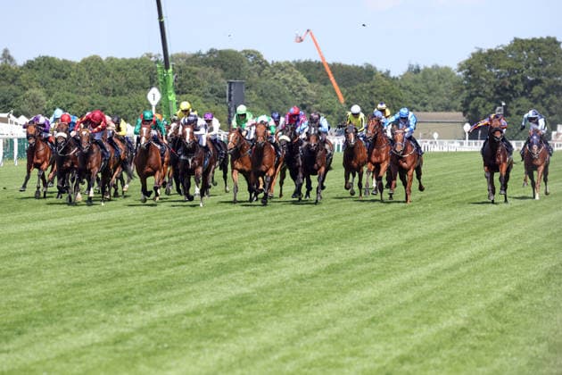 16.06.2026, Ascot, Windsor, GBR - Mission Central (second from right) with Ryan Moore up wins the King Charles III Stakes. Ascot racecourse. (Pferd, Jockey, Mission Central, Moore, Sieg, Ziel, Zielankunft) 260616D532ROYAL_ASCOT.JPG