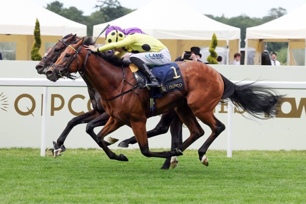 16.06.2026, Ascot, Windsor, GBR - Bow Echo (nearside) with Billy Loughnane up wins the St James s Palace Stakes. Ascot racecourse. (Pferd, Jockey, Bow Echo, Loughnane, Sieg, Ziel, Zielankunft) 260616D541ROYAL_ASCOT.JPG