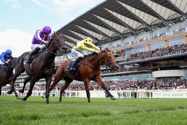 16.06.2026, Ascot, Windsor, GBR - Bow Echo (farside) with Billy Loughnane up wins the St James s Palace Stakes. Ascot racecourse. (Pferd, Jockey, Bow Echo, Loughnane, Sieg, Ziel, Zielankunft) 260616D542ROYAL_ASCOT.JPG