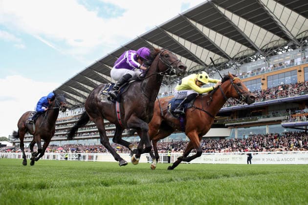 16.06.2026, Ascot, Windsor, GBR - Bow Echo (farside) with Billy Loughnane up wins the St James s Palace Stakes. Ascot racecourse. (Pferd, Jockey, Bow Echo, Loughnane, Sieg, Ziel, Zielankunft) 260616D544ROYAL_ASCOT.JPG