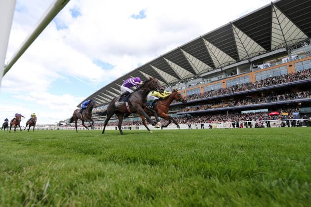 16.06.2026, Ascot, Windsor, GBR - Bow Echo (farside) with Billy Loughnane up wins the St James s Palace Stakes. Ascot racecourse. (Pferd, Jockey, Bow Echo, Loughnane, Sieg, Ziel, Zielankunft) 260616D545ROYAL_ASCOT.JPG
