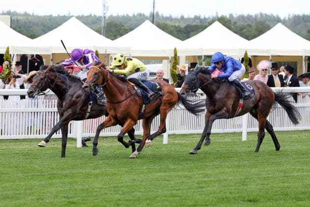 16.06.2026, Ascot, Windsor, GBR - Bow Echo (nearside) with Billy Loughnane up wins the St James s Palace Stakes. Ascot racecourse. (Pferd, Jockey, Bow Echo, Loughnane, Sieg, Ziel, Zielankunft) 260616D540ROYAL_ASCOT.JPG