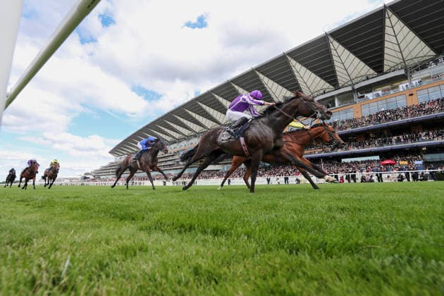 16.06.2026, Ascot, Windsor, GBR - Bow Echo (farside) with Billy Loughnane up wins the St James s Palace Stakes. Ascot racecourse. (Pferd, Jockey, Bow Echo, Loughnane, Sieg, Ziel, Zielankunft) 260616D546ROYAL_ASCOT.JPG