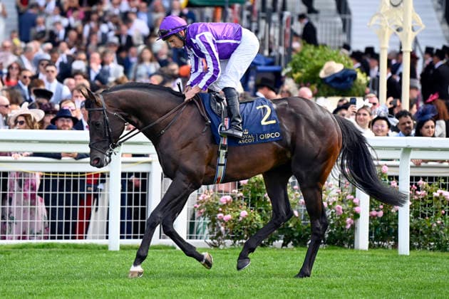 16.06.2026, Ascot, Windsor, GBR - Gstaad with Ryan Moore. Ascot racecourse. (Pferd, Jockey, Gstaad, Moore, Aufgalopp) 260616C912ROYAL_ASCOT.JPG