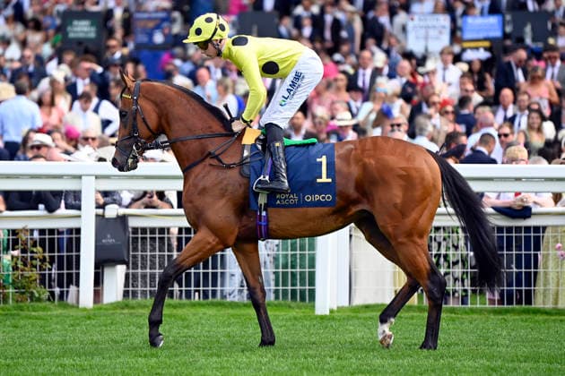 16.06.2026, Ascot, Windsor, GBR - Bow Echo with Billy Loughnane. Ascot racecourse. (Pferd, Jockey, Bow Echo, Loughnane) 260616C913ROYAL_ASCOT.JPG