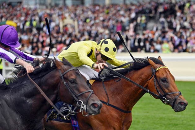 16.06.2026, Ascot, Windsor, GBR - Bow Echo (farside) with Billy Loughnane up wins the St James s Palace Stakes. Ascot racecourse. (Pferd, Jockey, Bow Echo, Loughnane, Sieg, Ziel, Zielankunft) 260616C914ROYAL_ASCOT.JPG