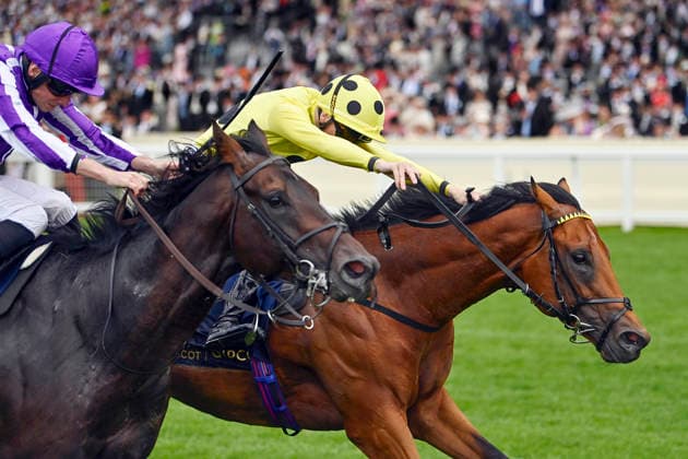 16.06.2026, Ascot, Windsor, GBR - Bow Echo (farside) with Billy Loughnane up wins the St James s Palace Stakes. Ascot racecourse. (Pferd, Jockey, Bow Echo, Loughnane, Sieg, Ziel, Zielankunft) 260616C915ROYAL_ASCOT.JPG