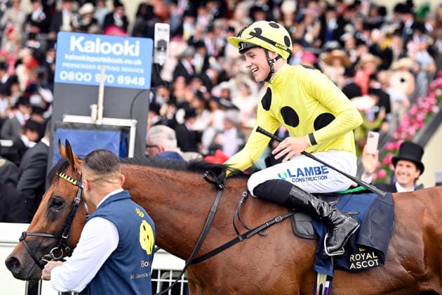 16.06.2026, Ascot, Windsor, GBR - Bow Echo with Billy Loughnane up after winning the St James s Palace Stakes. Ascot racecourse. (Pferd, Jockey, Bow Echo, Loughnane, Sieg) 260616C916ROYAL_ASCOT.JPG