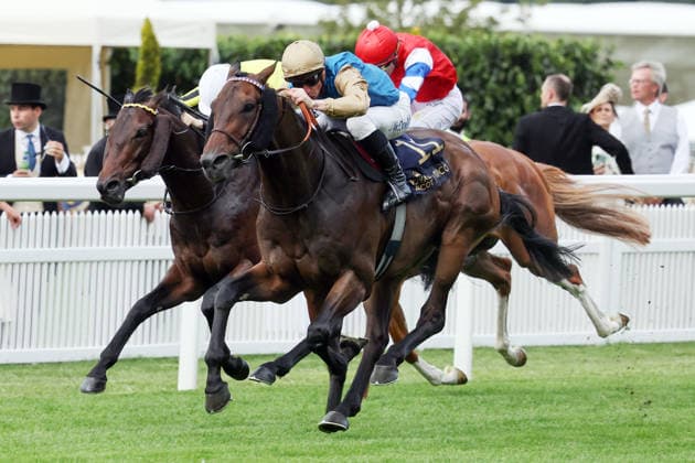 16.06.2026, Ascot, Windsor, GBR - Map of Stars with James McDonald up wins the Wolferton Stakes. Ascot racecourse. (Pferd, Jockey, Map of Stars, McDonald, Sieg, Ziel, Zielankunft) 260616D570ROYAL_ASCOT.JPG