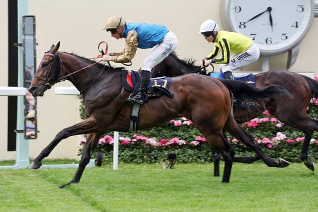 16.06.2026, Ascot, Windsor, GBR - Map of Stars with James McDonald up wins the Wolferton Stakes. Ascot racecourse. (Pferd, Jockey, Map of Stars, McDonald, Sieg, Ziel, Zielankunft) 260616D571ROYAL_ASCOT.JPG