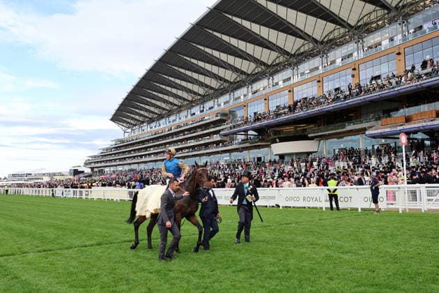 16.06.2026, Ascot, Windsor, GBR - Map of Stars with James McDonald up after winning the Wolferton Stakes. Ascot racecourse. (Pferd, Jockey, Map of Stars, McDonald, Sieg) 260616D573ROYAL_ASCOT.JPG
