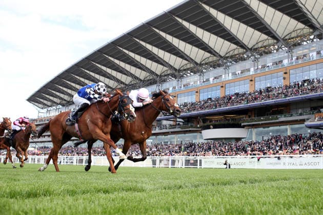 16.06.2026, Ascot, Windsor, GBR - Kizlyar (farside) with Joey Sheridan up wins the Ascot Stakes. Ascot racecourse. (Pferd, Jockey, Kizlyar, Sheridan, Sieg, Ziel, Zielankunft) 260616D580ROYAL_ASCOT.JPG