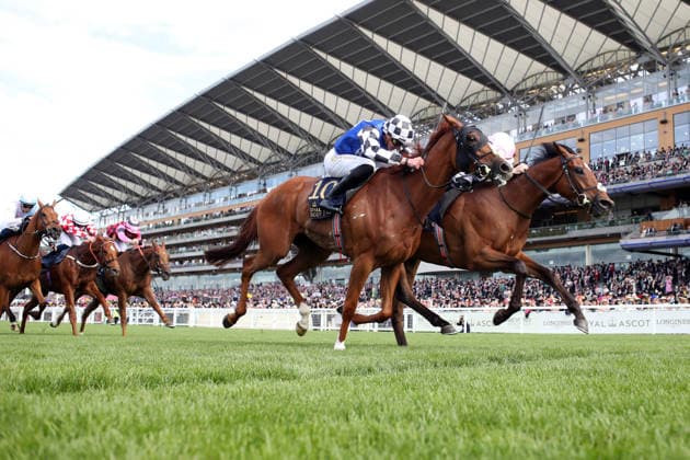 16.06.2026, Ascot, Windsor, GBR - Kizlyar (farside) with Joey Sheridan up wins the Ascot Stakes. Ascot racecourse. (Pferd, Jockey, Kizlyar, Sheridan, Sieg, Ziel, Zielankunft) 260616D581ROYAL_ASCOT.JPG