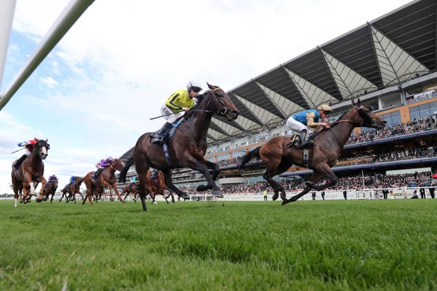 16.06.2026, Ascot, Windsor, GBR - Map of Stars with James McDonald up wins the Wolferton Stakes. Ascot racecourse. (Pferd, Jockey, Map of Stars, McDonald, Sieg, Ziel, Zielankunft) 260616D582ROYAL_ASCOT.JPG