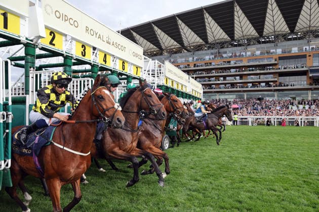 16.06.2026, Ascot, Windsor, GBR - Stalls are open for a race in front of the grandstand. Ascot racecourse. (Pferde, Jockeys, Start, Startmaschine, starten, abspringen, Startphase, Tribuene, Galopp, Galopprennsport, Pferderennsport, Pferderennen, Galopprennen) 260616D583ROYAL_ASCOT.JPG