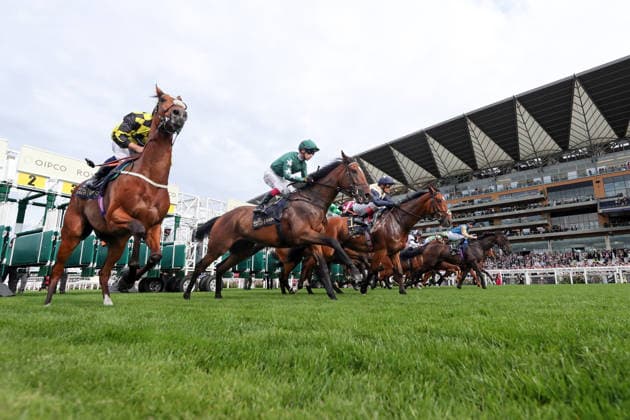 16.06.2026, Ascot, Windsor, GBR - Stalls are open for a race in front of the grandstand. Ascot racecourse. (Pferde, Jockeys, Start, Startmaschine, starten, abspringen, Startphase, Tribuene, Galopp, Galopprennsport, Pferderennsport, Pferderennen, Galopprennen) 260616D585ROYAL_ASCOT.JPG