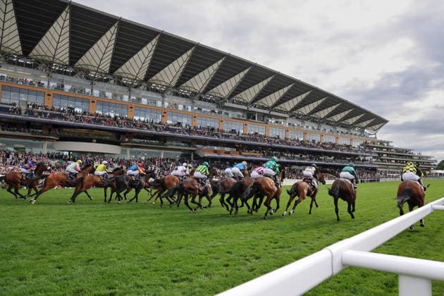 16.06.2026, Ascot, Windsor, GBR - Horses and jockeys during a race in front of the grandstand. Ascot racecourse. (Pferde, Jockeys, Tribuene, Galopp, Galopprennsport, Pferderennsport, Pferderennen, Galopprennen, Rueckansicht, rcotw) 260616D586ROYAL_ASCOT.JPG