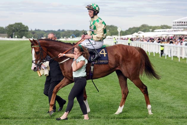 16.06.2026, Ascot, Windsor, GBR - Daiquiri Bay with Rossa Ryan up after winning the Copper Horse Stakes. Ascot racecourse. (Pferd, Jockey, Daiquiri Bay, Ryan, Sieg) 260616D589ROYAL_ASCOT.JPG