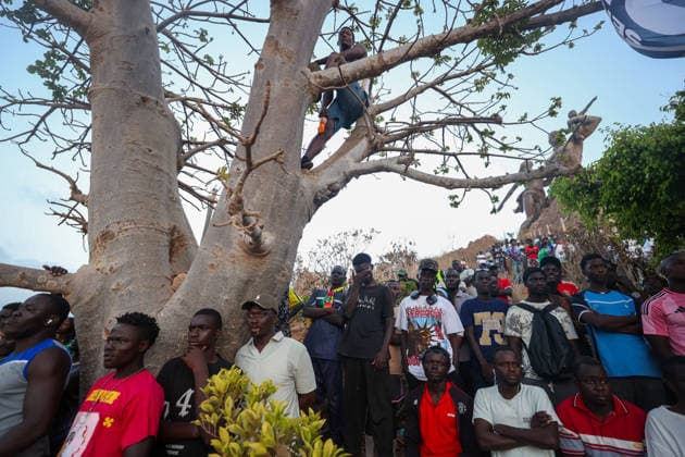 Senegal fans watch team s World Cup debut on giant screen DAKAR, SENEGAL - JUNE 16: Senegal fans watch their national team, Nationalteam s 2026 FIFA World Cup, WM, Weltmeisterschaft, Fussball Group I match against France on a giant screen set up at the African Renaissance Monument in Dakar, Senegal, on June 16, 2026. Hundreds of supporters gathered at the square ahead of kickoff, waving Senegalese flags and wearing national team jerseys as they followed the match. Cem Ozdel Anadolu Dakar Senegal. Editorial use only. Please get in touch for any other usage.  Copyright: x2026xAnadoluxCemxOzdelx
