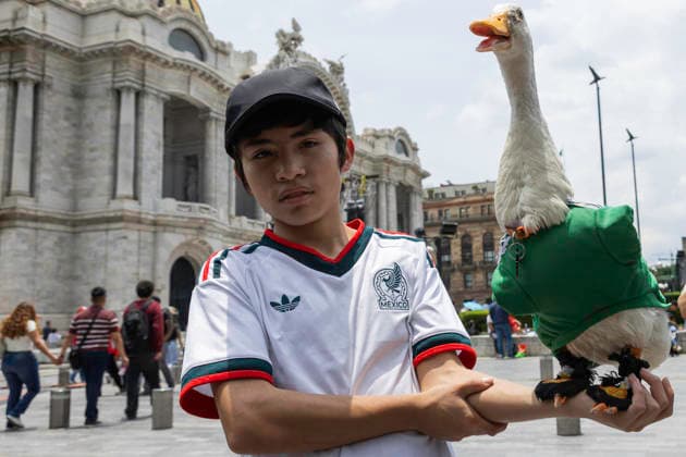 Merlin The World Cup Duck, The Unofficial Mascot Of The Mexican national team, Nationalteam Merlin the World Cup Duck, wearing the Mexican national team jersey, is seen outside the Palace of Fine Arts in Mexico City, Mexico, on June 16, 2026. Karla Gomez and her son Christian own Merlin, a duck who has gained popularity on social media after appearing at Mexican fans celebrations. The duck is often seen wearing the Mexican national team jersey, which has endeared him to the public and led to him being adopted as the team s unofficial mascot. Mexico City Mexico  Copyright: xCristianxLeyvax originalFilename:leyva-notitle260616_nplMS.jpg