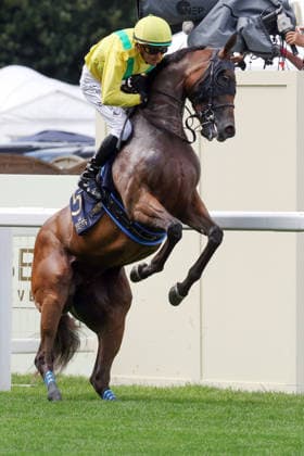 17.06.2026, Ascot, Windsor, GBR - Celtic Dispute rears up with Christophe Soumillon on the way to the start. Ascot racecourse. (Pferd, Jockey, Celtic Dispute, Soumillon, bocken, steigen, buckeln, Aufgalopp) 260617D531ROYAL_ASCOT.JPG *** June 17, 2026, Ascot, Windsor, GBR Celtic Dispute rears up with Christophe Soumillon on the way to the start at Ascot Racecourse Horse, Jockey, Celtic Dispute, Soumillon, bucking, rearing, gallop 260617D531ROYAL ASCOT JPG,detected_source_language