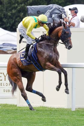 17.06.2026, Ascot, Windsor, GBR - Celtic Dispute bucks with Christophe Soumillon on the way to the start. Ascot racecourse. (Pferd, Jockey, Celtic Dispute, Soumillon, bocken, steigen, buckeln, Aufgalopp) 260617D532ROYAL_ASCOT.JPG