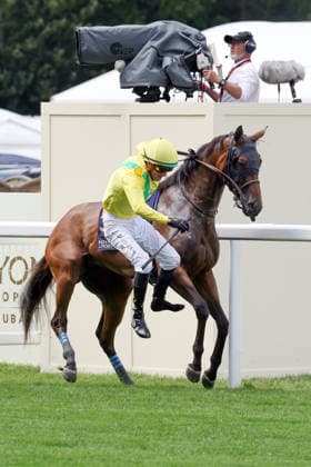 17.06.2026, Ascot, Windsor, GBR - Jockey Christophe Soumillon fall from Celtic Dispute on the way to the start. Ascot racecourse. (Pferd, Jockey, Celtic Dispute, Soumillon, bocken, fallen, buckeln, Aufgalopp) 260617D533ROYAL_ASCOT.JPG